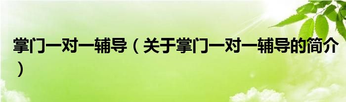 掌門一對(duì)一輔導(dǎo)（關(guān)于掌門一對(duì)一輔導(dǎo)的簡(jiǎn)介）