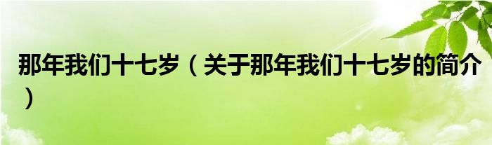 那年我們十七歲（關(guān)于那年我們十七歲的簡介）