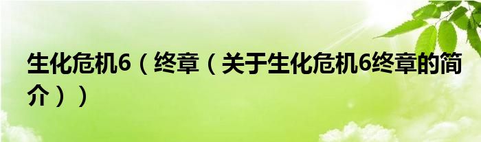 生化危機(jī)6（終章（關(guān)于生化危機(jī)6終章的簡(jiǎn)介））