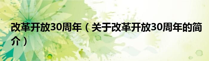 改革開(kāi)放30周年（關(guān)于改革開(kāi)放30周年的簡(jiǎn)介）