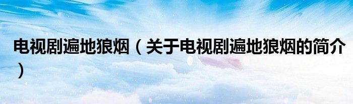 電視劇遍地狼煙（關(guān)于電視劇遍地狼煙的簡(jiǎn)介）