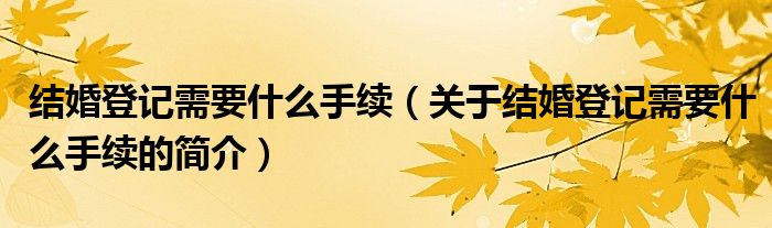 結(jié)婚登記需要什么手續(xù)（關(guān)于結(jié)婚登記需要什么手續(xù)的簡(jiǎn)介）