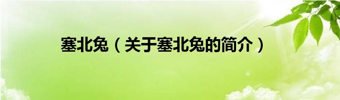 塞北兔（關(guān)于塞北兔的簡(jiǎn)介）