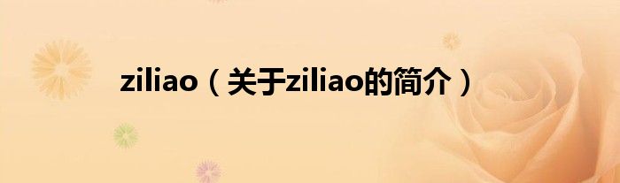 ziliao（關于ziliao的簡介）