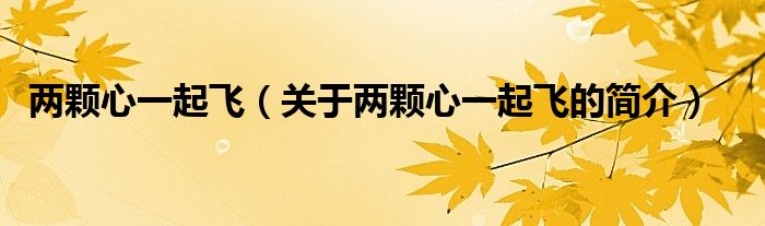 兩顆心一起飛（關(guān)于兩顆心一起飛的簡(jiǎn)介）