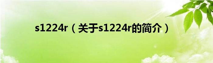 s1224r（關(guān)于s1224r的簡(jiǎn)介）