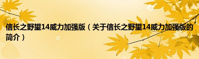 信長之野望14威力加強(qiáng)版（關(guān)于信長之野望14威力加強(qiáng)版的簡介）