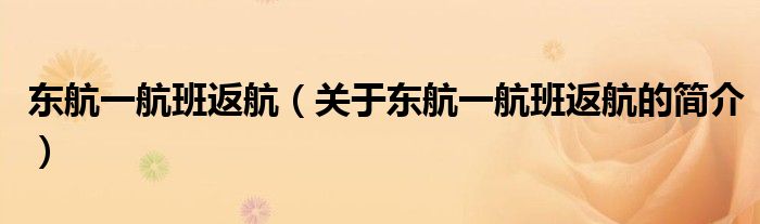 東航一航班返航（關(guān)于東航一航班返航的簡(jiǎn)介）