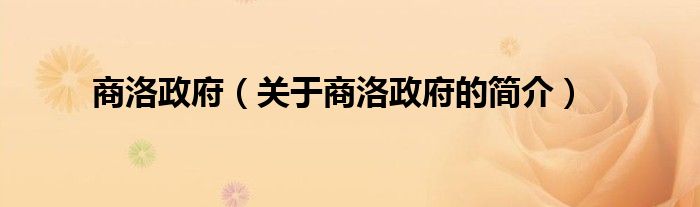 商洛政府（關(guān)于商洛政府的簡(jiǎn)介）