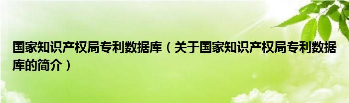 國家知識產(chǎn)權局專利數(shù)據(jù)庫（關于國家知識產(chǎn)權局專利數(shù)據(jù)庫的簡介）