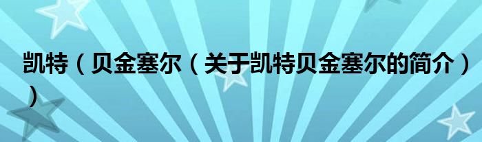 凱特（貝金塞爾（關(guān)于凱特貝金塞爾的簡(jiǎn)介））