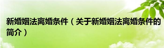 新婚姻法離婚條件（關(guān)于新婚姻法離婚條件的簡(jiǎn)介）