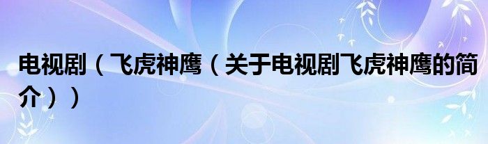 電視?。w虎神鷹（關(guān)于電視劇飛虎神鷹的簡介））