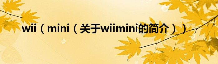 wii（mini（關(guān)于wiimini的簡介））