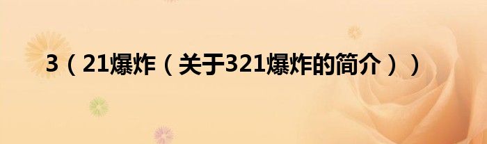 3（21爆炸（關(guān)于321爆炸的簡介））