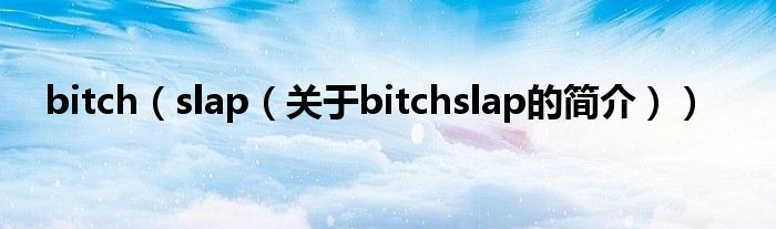 bitch（slap（關(guān)于bitchslap的簡介））