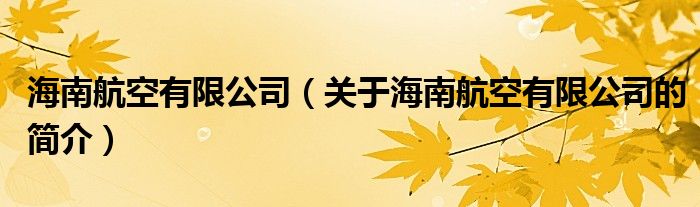 海南航空有限公司（關(guān)于海南航空有限公司的簡(jiǎn)介）