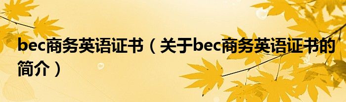 bec商務(wù)英語證書（關(guān)于bec商務(wù)英語證書的簡介）