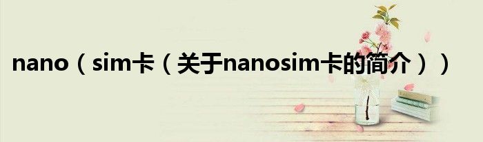 nano（sim卡（關(guān)于nanosim卡的簡介））