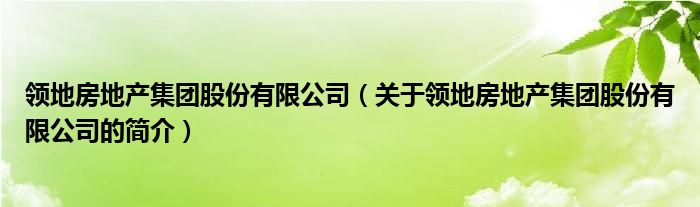 領(lǐng)地房地產(chǎn)集團(tuán)股份有限公司（關(guān)于領(lǐng)地房地產(chǎn)集團(tuán)股份有限公司的簡(jiǎn)介）