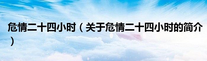 危情二十四小時(shí)（關(guān)于危情二十四小時(shí)的簡(jiǎn)介）