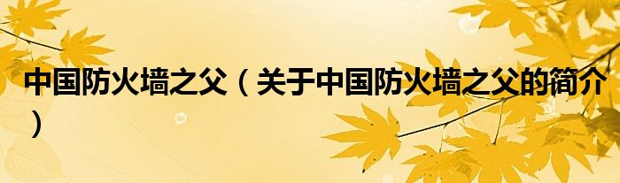 中國(guó)防火墻之父（關(guān)于中國(guó)防火墻之父的簡(jiǎn)介）