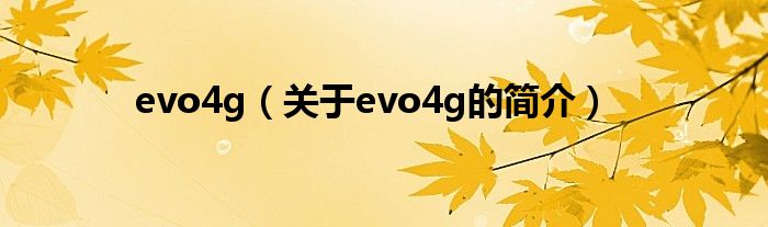 evo4g（關(guān)于evo4g的簡介）