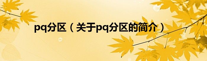 pq分區(qū)（關(guān)于pq分區(qū)的簡介）