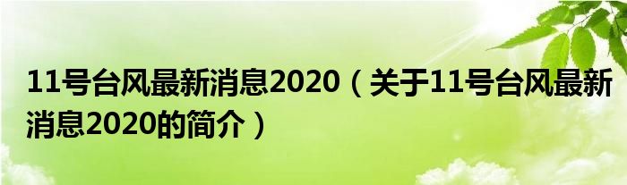 11號(hào)臺(tái)風(fēng)最新消息2020（關(guān)于11號(hào)臺(tái)風(fēng)最新消息2020的簡(jiǎn)介）