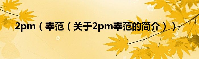 2pm（宰范（關(guān)于2pm宰范的簡介））