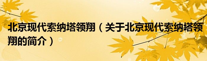 北京現(xiàn)代索納塔領(lǐng)翔（關(guān)于北京現(xiàn)代索納塔領(lǐng)翔的簡(jiǎn)介）