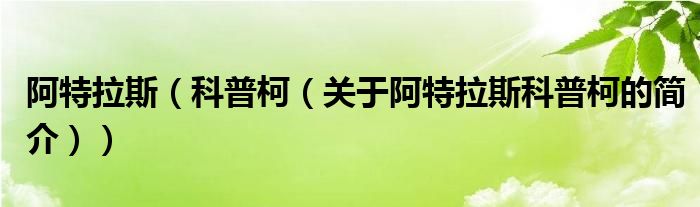 阿特拉斯（科普柯（關(guān)于阿特拉斯科普柯的簡介））