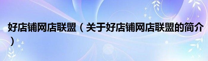 好店鋪網(wǎng)店聯(lián)盟（關(guān)于好店鋪網(wǎng)店聯(lián)盟的簡介）