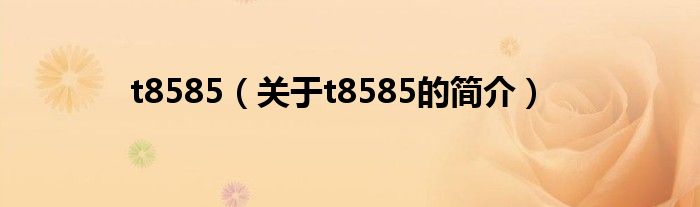 t8585（關(guān)于t8585的簡(jiǎn)介）