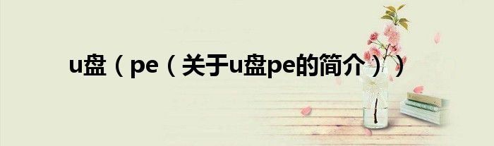 u盤（pe（關(guān)于u盤pe的簡(jiǎn)介））