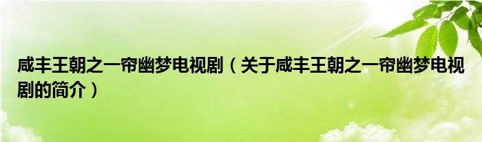 咸豐王朝之一簾幽夢(mèng)電視?。P(guān)于咸豐王朝之一簾幽夢(mèng)電視劇的簡介）