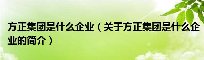 方正集團是什么企業(yè)（關(guān)于方正集團是什么企業(yè)的簡介）