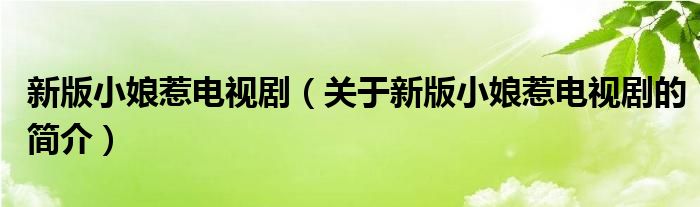 新版小娘惹電視?。P于新版小娘惹電視劇的簡介）