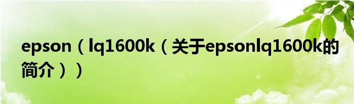 epson（lq1600k（關(guān)于epsonlq1600k的簡(jiǎn)介））