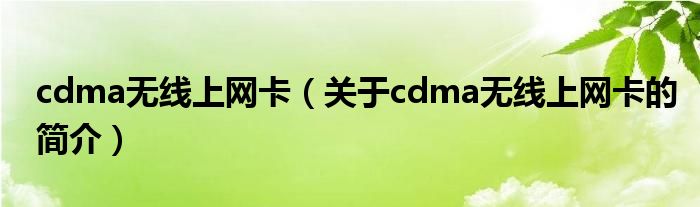 cdma無線上網卡（關于cdma無線上網卡的簡介）