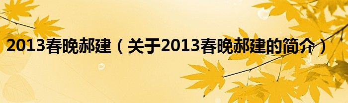 2013春晚郝建（關(guān)于2013春晚郝建的簡介）