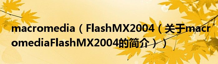 macromedia（FlashMX2004（關(guān)于macromediaFlashMX2004的簡介））