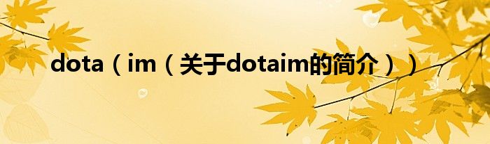 dota（im（關于dotaim的簡介））