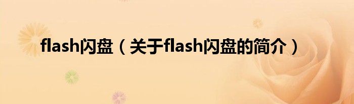 flash閃盤（關于flash閃盤的簡介）