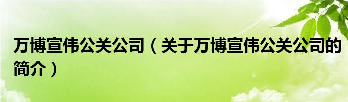 萬博宣偉公關公司（關于萬博宣偉公關公司的簡介）