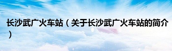 長沙武廣火車站（關(guān)于長沙武廣火車站的簡介）