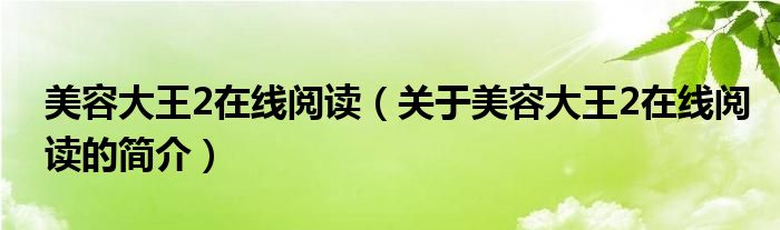 美容大王2在線閱讀（關(guān)于美容大王2在線閱讀的簡介）