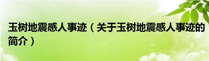 玉樹(shù)地震感人事跡（關(guān)于玉樹(shù)地震感人事跡的簡(jiǎn)介）