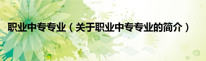 職業(yè)中專專業(yè)（關(guān)于職業(yè)中專專業(yè)的簡(jiǎn)介）