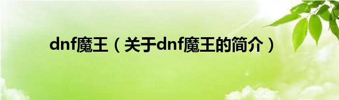 dnf魔王（關于dnf魔王的簡介）